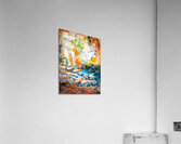 iAHOLA Acrylic Print