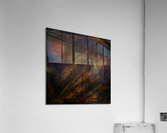 OBLiViON Acrylic Print