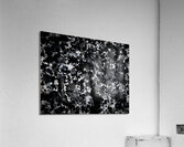 iNKSCAPE.02 Acrylic Print