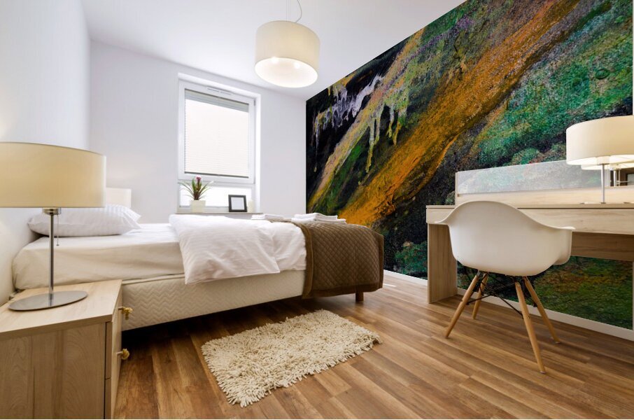 METEOR MARSH Mural print