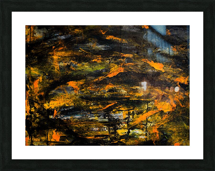 KOi Picture Frame print