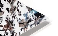 PAW CLAWZ  HD Metal print