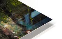 LiLLYS SWAMP  HD Metal print