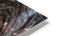 iSKAT  HD Metal print