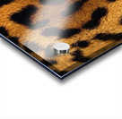 Leopard Skin Pattern Background Acrylic print