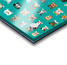different type vector cartoon dog faces Acrylic print