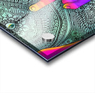 Trippy Alien on Zen Acrylic print