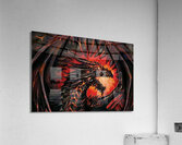 Dragon Acrylic Print