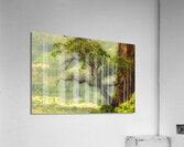 Nature mountain sunrise landscape tree Acrylic Print
