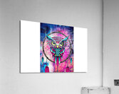 Owl Dreamcatcher Acrylic Print