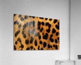 Leopard Skin Pattern Background Acrylic Print