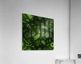 bacteria virus seamless pattern inversion Acrylic Print