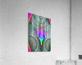 Trippy Alien on Zen Acrylic Print