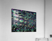 psychedelic mushrooms background Acrylic Print