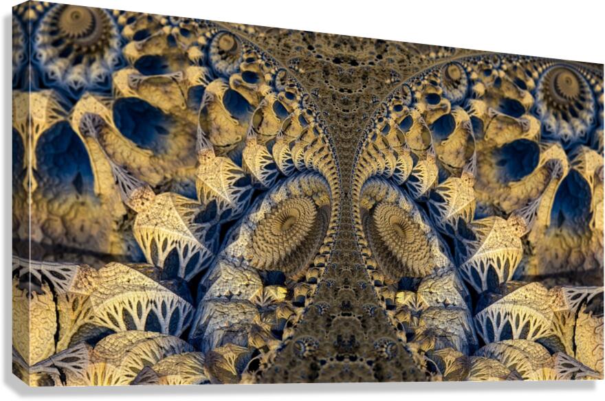 fractal spiral infinite psychedelic Canvas Print