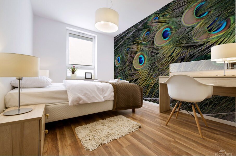 peacock tail feathers close up Mural print