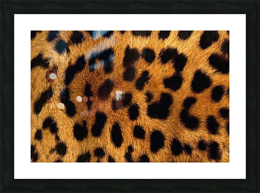 Leopard Skin Pattern Background Picture Frame print