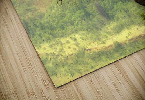 Nature mountain sunrise landscape tree Etnousta puzzle