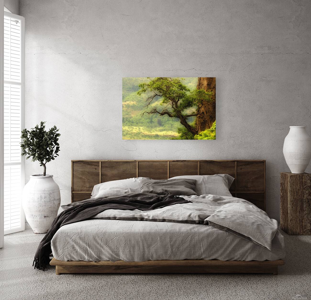 Nature mountain sunrise landscape tree Reproduction