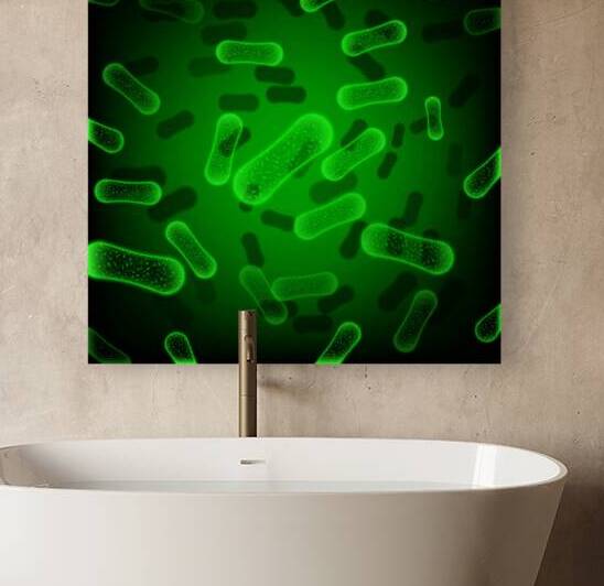 green rod shaped bacteria by Etnousta