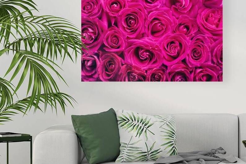 Red pink Roses Flowers Plant Romance by Etnousta