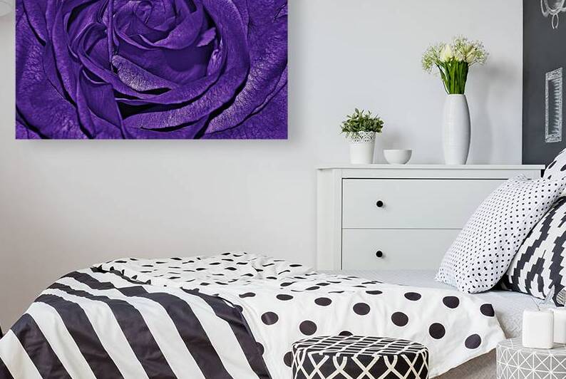 Purple Roses Flowers Plant Romance by Etnousta