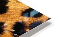 Leopard Skin Pattern Background HD Metal print