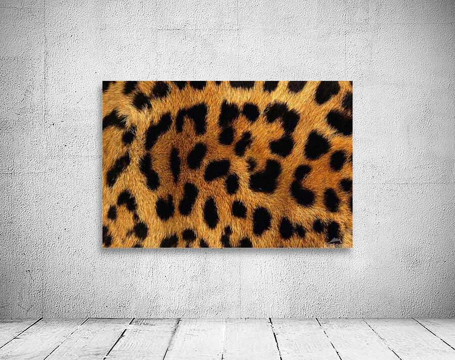 Leopard Skin Pattern Background Wall Preview