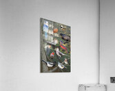 Birds Acrylic Print