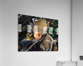 Apple Acrylic Print