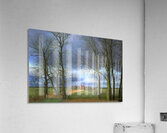 Landscape Acrylic Print