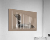Loon2 Acrylic Print