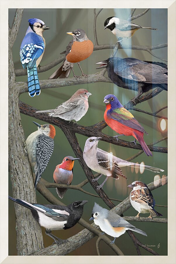 Birds Picture Frame print