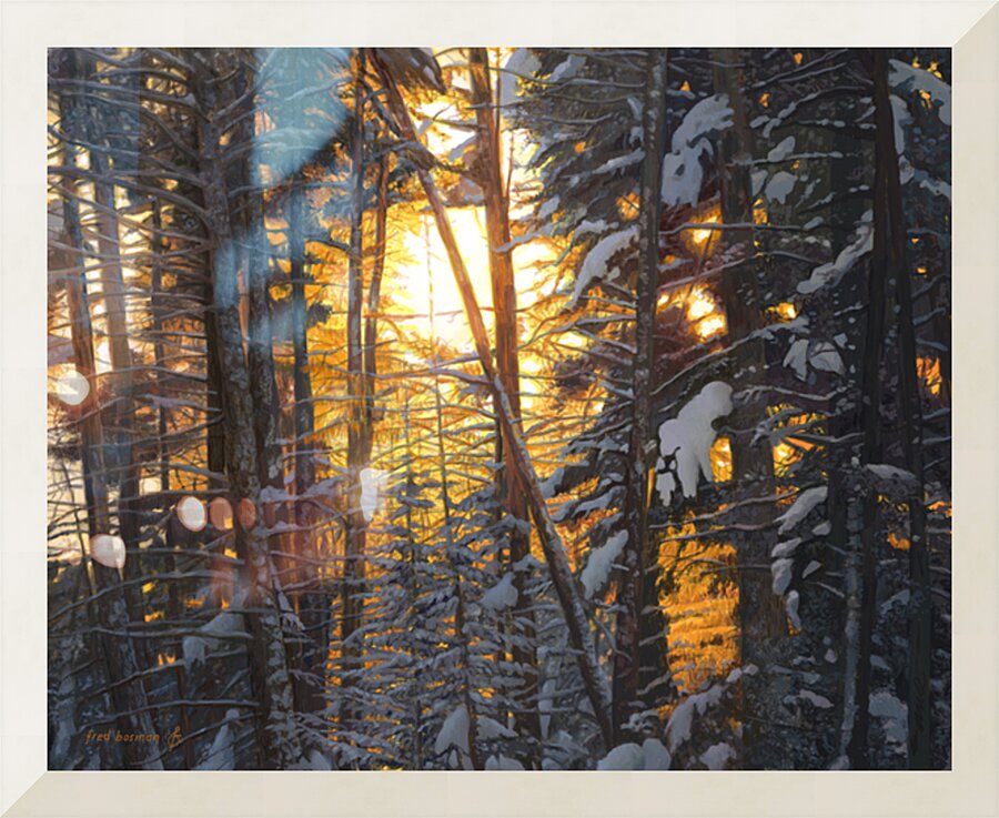 Forest Picture Frame print
