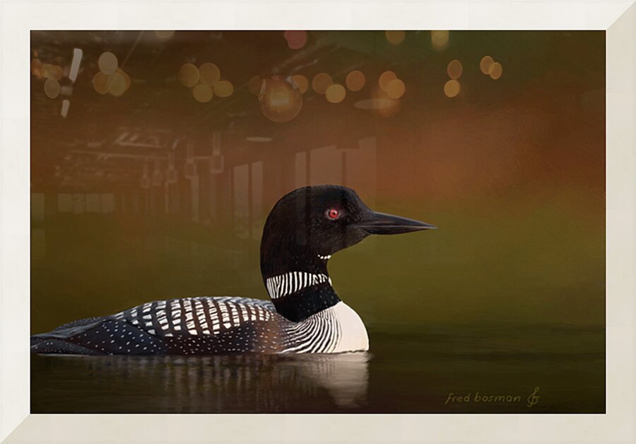 Loon1 Picture Frame print