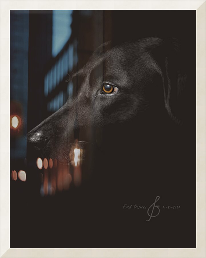 labrador Picture Frame print
