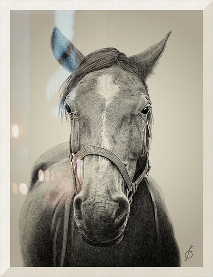  Fine Art print
