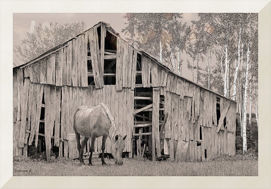 HorseBarn Picture Frame print