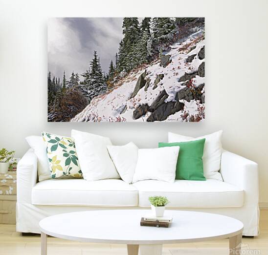 Hillside Reproduction