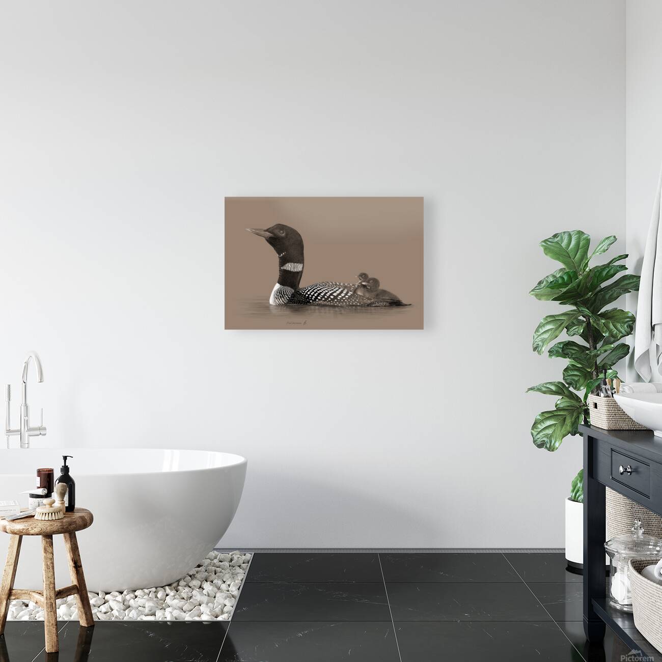 Loon2 Reproduction