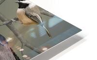 Birds HD Metal print