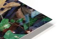 Apple HD Metal print