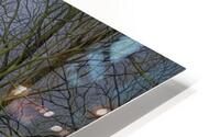 Landscape HD Metal print