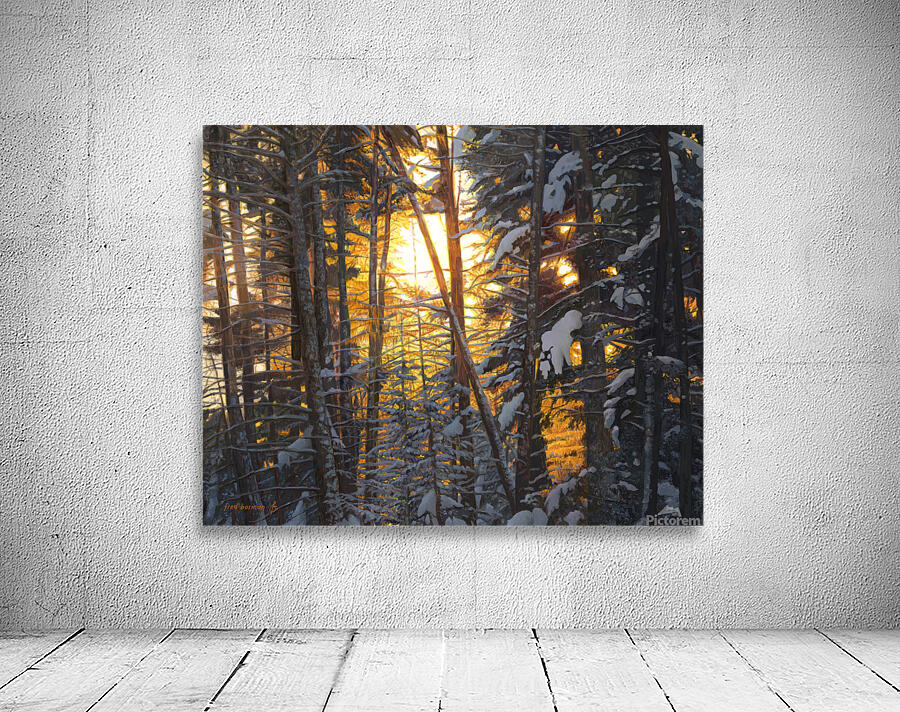 Forest Wall Preview
