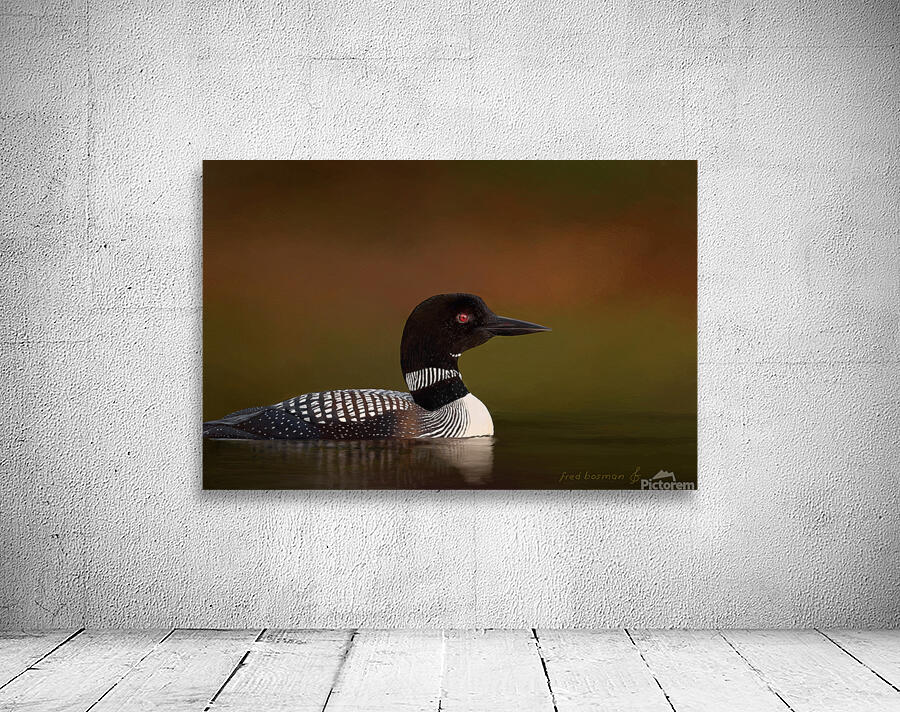 Loon1 Wall Preview