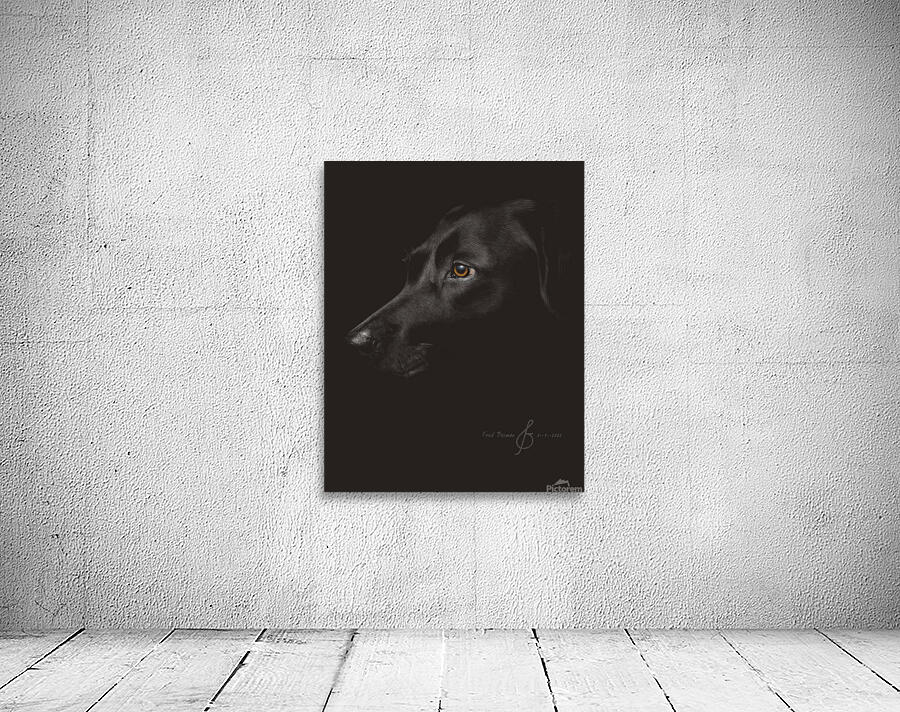 labrador Wall Preview