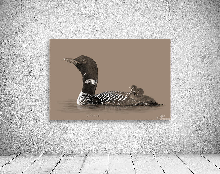 Loon2 Wall Preview