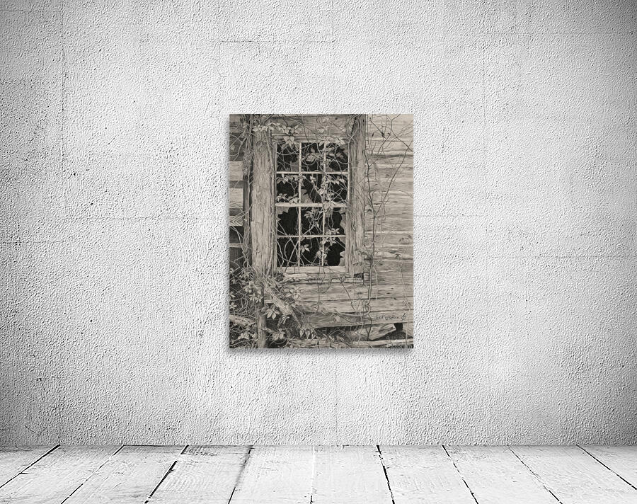 Window Wall Preview
