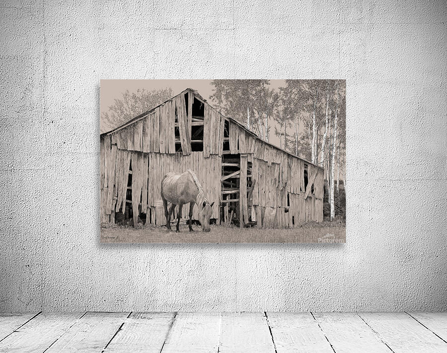 HorseBarn Wall Preview