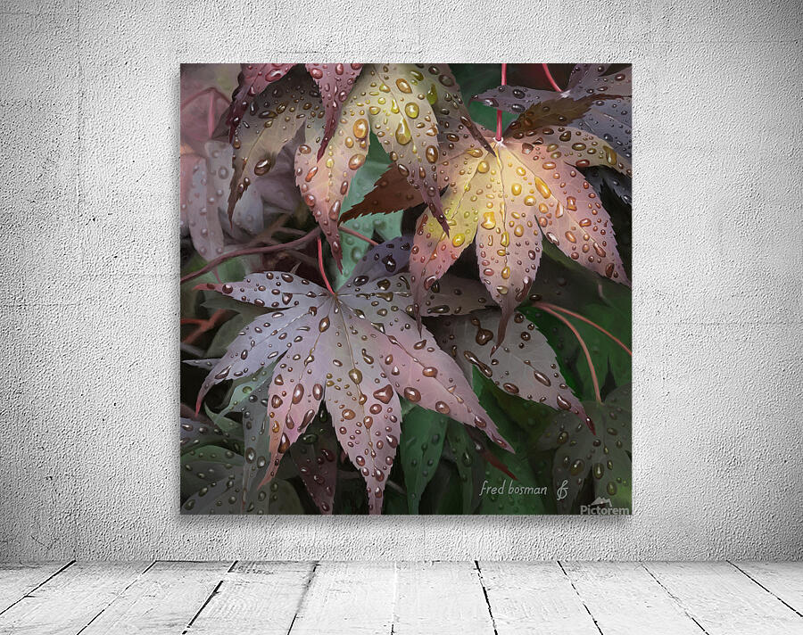 leaves Wall Preview